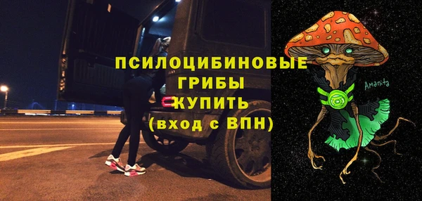прущие грибы Алексеевка
