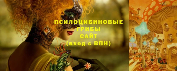 прущие грибы Алексеевка